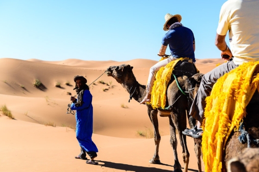 Camel Trekking Morocco
